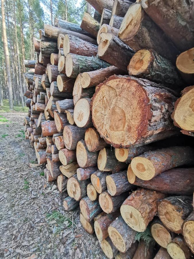 M&K Apartamenty Zielony Zakatek - Sobieszewo Gdańsk Kültér fotó
